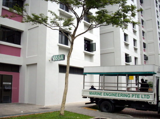 Blk 655A Jurong West Street 61 (Jurong West), HDB 4 Rooms #436512